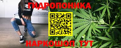 гашик Донской