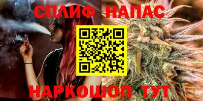 гашик Донской