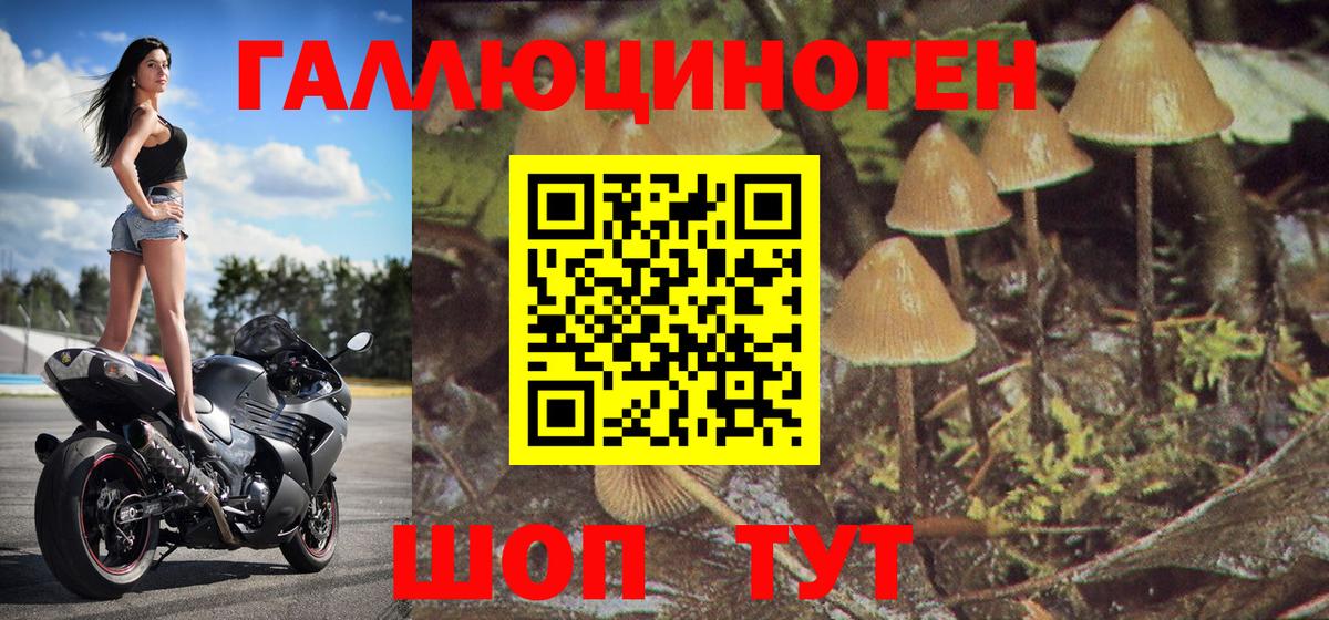 Галлюциногенные грибы ЛСД Губкин