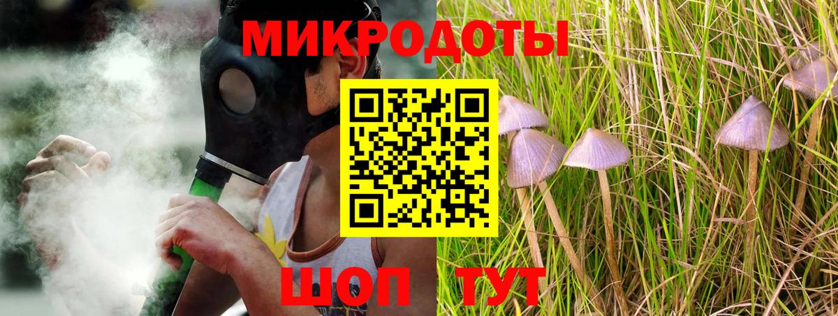 наркота  Псилоцибиновые грибы Psilocybine cubensis  Вход с VPN  Галлюциногенные грибы Psilocybine cubensis  Губкин 