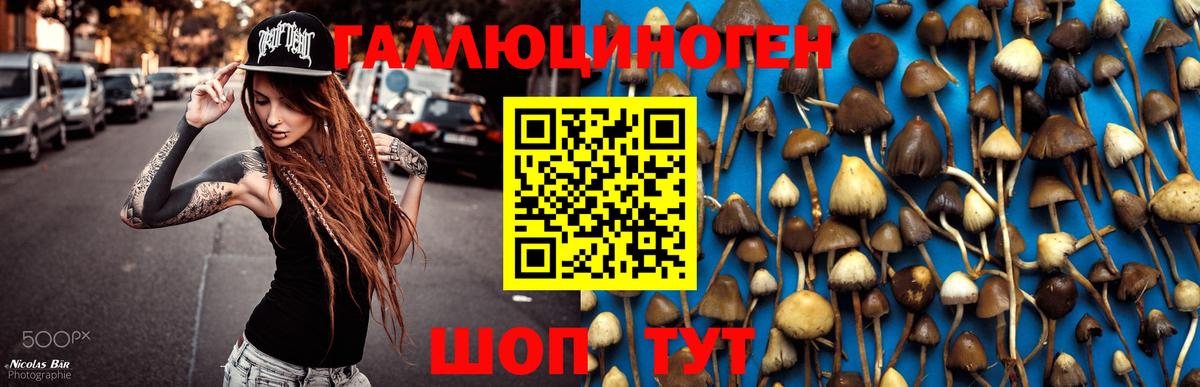 Мефедрон Губкин